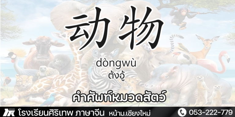 คำศัพท์น่ารู้ หมวดสัตว์
