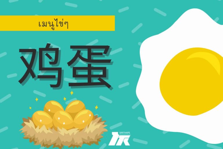 คำศัพท์ภาษาจีนน่ารู้ “เมนูไข่ๆ “*ทุกวันพฤหัสบดี