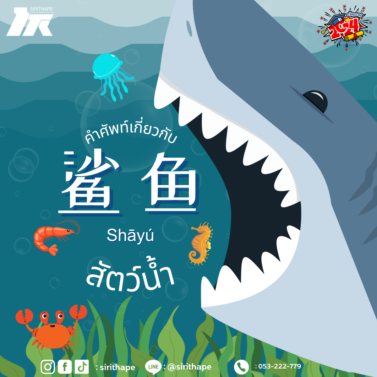 📌❤️🇨🇳🇹🇭🐟🐠🐡🦈🐙คำศัพท์น่ารู้ 鲨鱼 สัตว์น้ำในภาษาจีน ในภาษาจีน *ทุกวันอังคาร